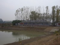 蛋鴨養殖基地