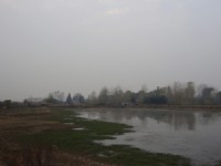 蛋鴨養殖基地